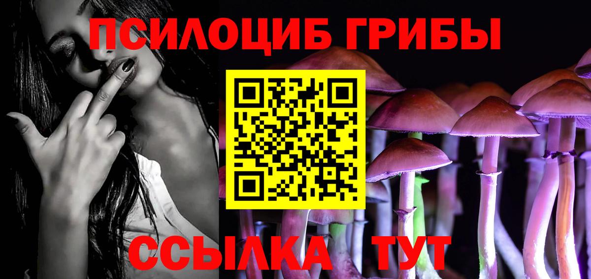 Галлюциногенные грибы прущие грибы  Вход с VPN  Ноябрьск 